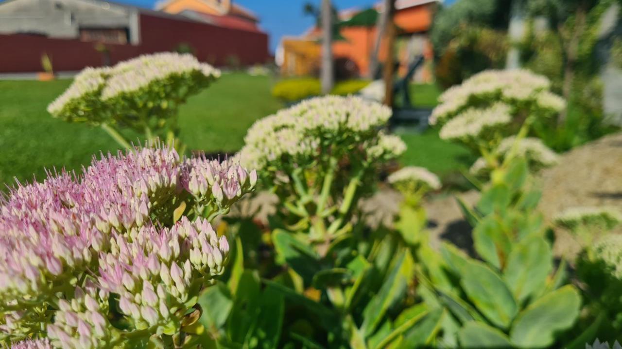波瓦－迪瓦尔津Hollidays Dreams别墅 外观 照片
